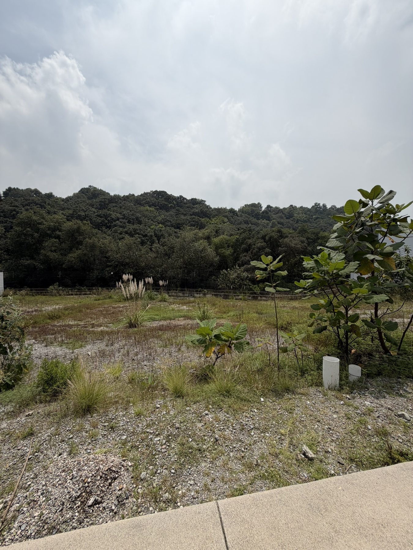 Terreno Bosque de Oliva 22, Naucalpan de Juárez
